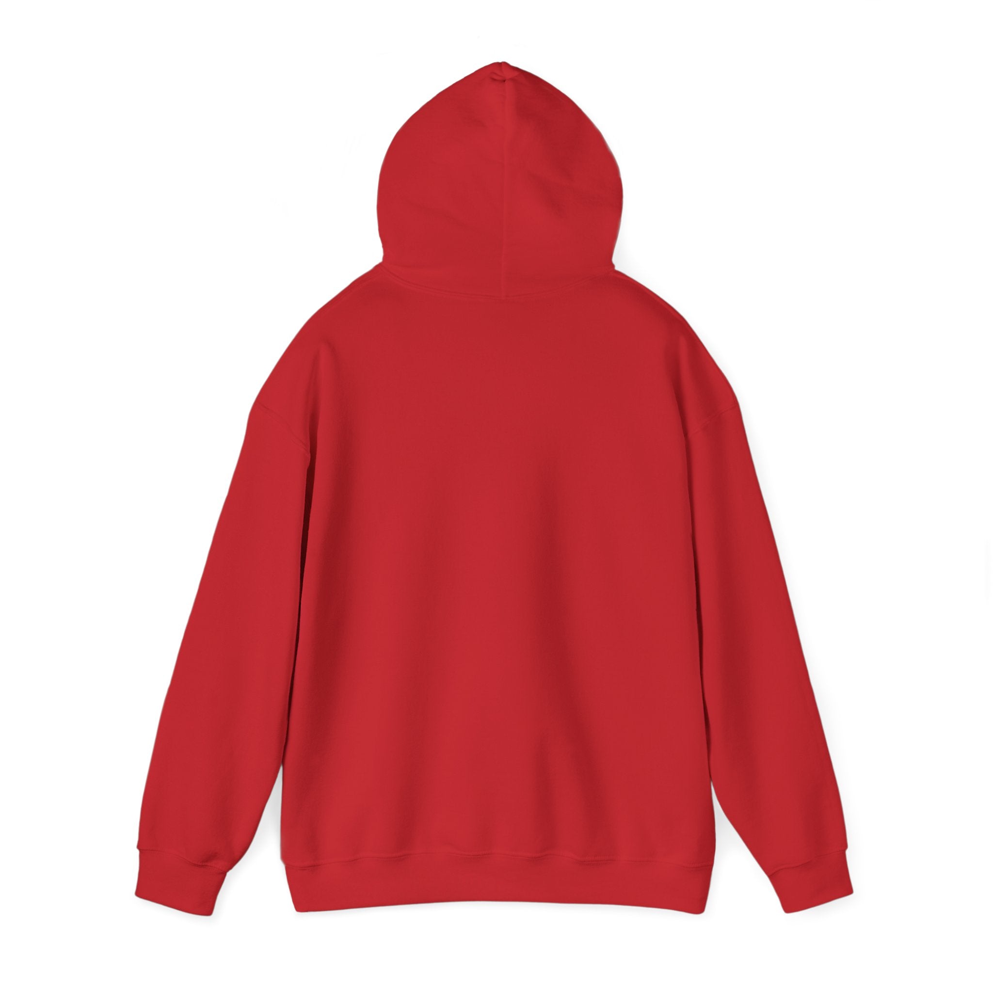 KOMODO RETRO HOODIE