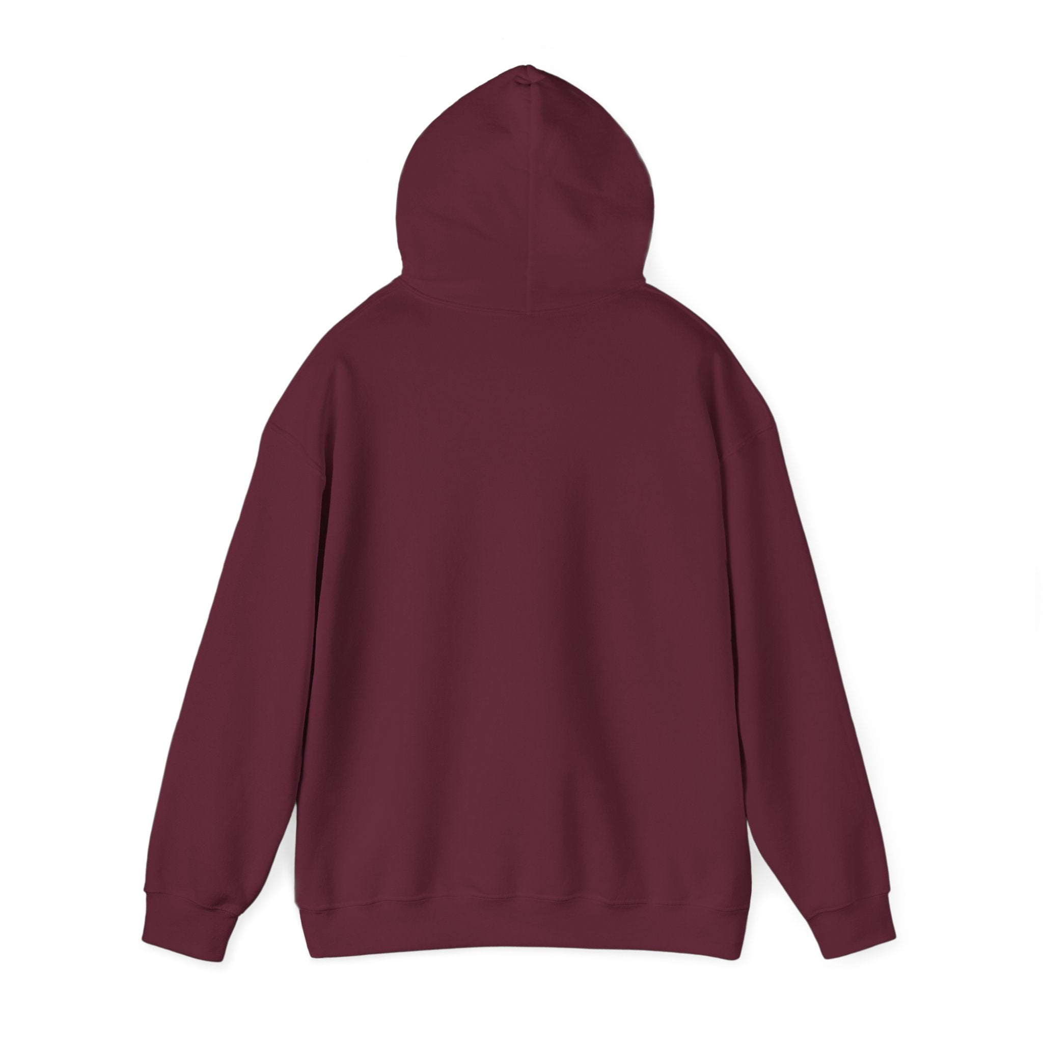 "Be Better" VIVID HOODIE