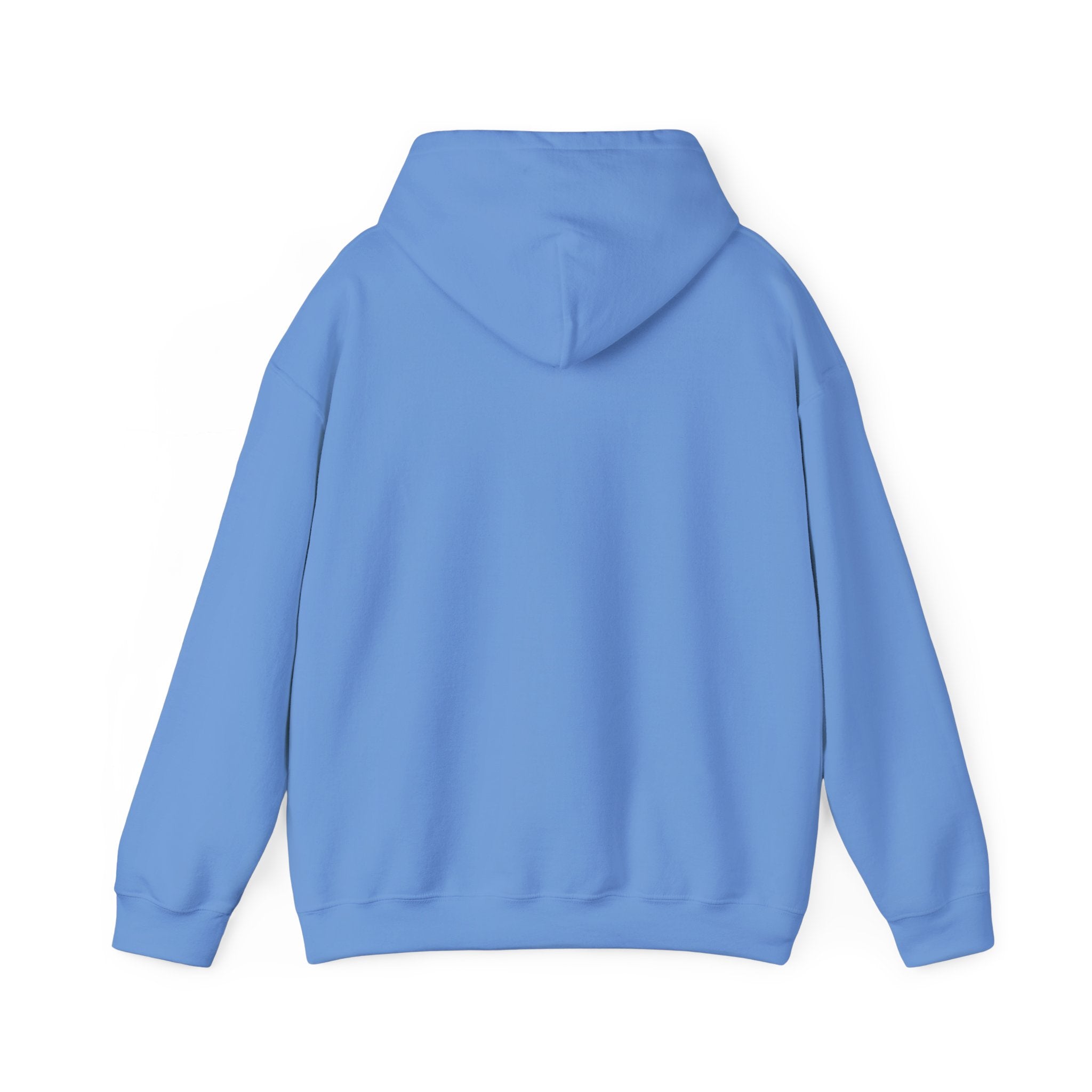 "Be Better" VIVID HOODIE