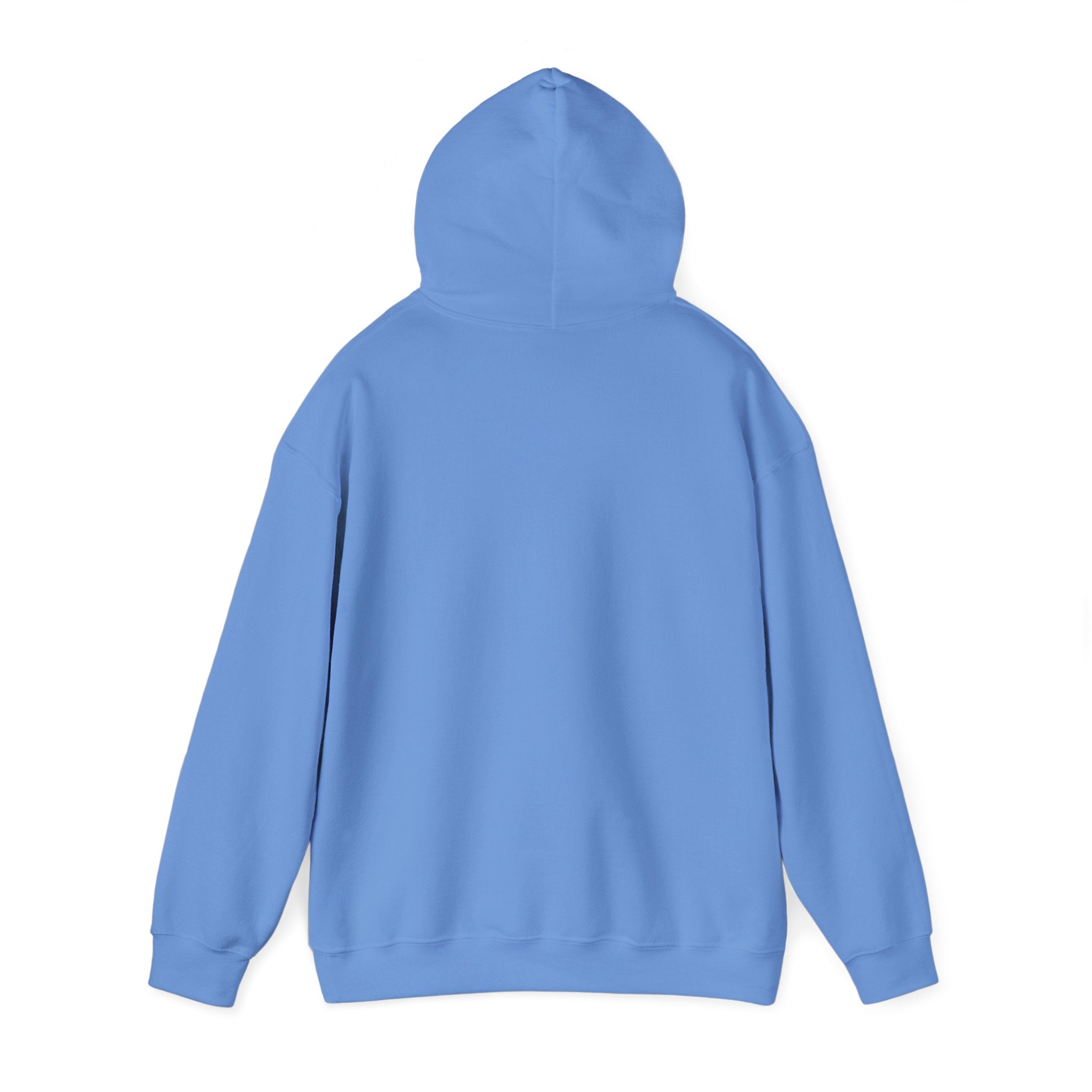 "Be Better" VIVID HOODIE
