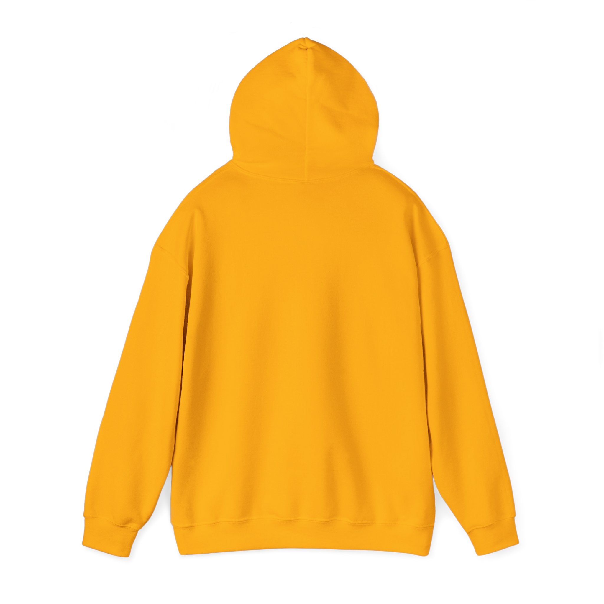 "Be Better" VIVID HOODIE
