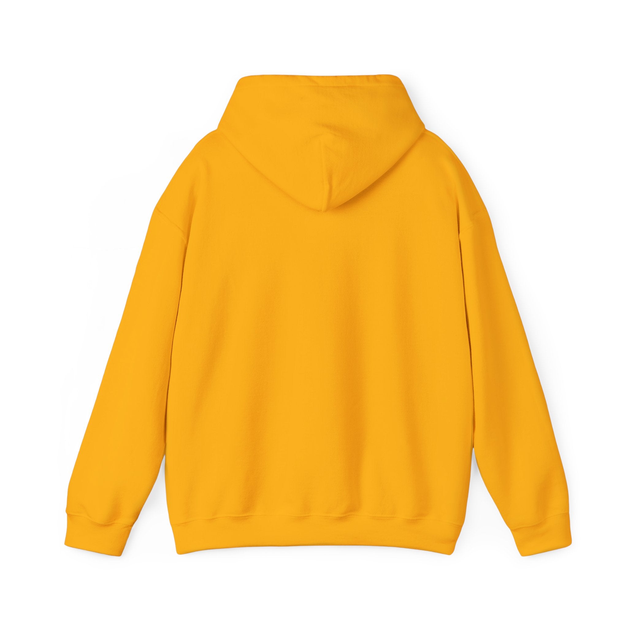 "Be Better" VIVID HOODIE